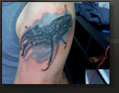 TOTO'S TATTOS